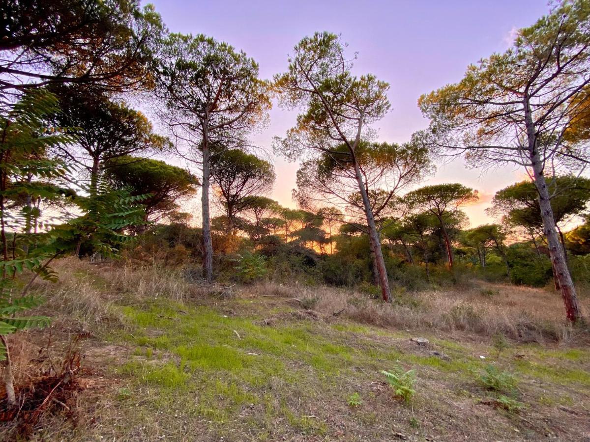 Appartamento All'ombra dei pini - Casa Vacanze Marina di Sorso Esterno foto