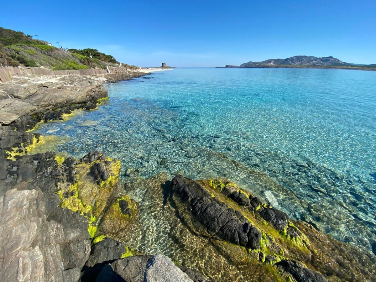 Appartamento All'ombra dei pini - Casa Vacanze Marina di Sorso Esterno foto