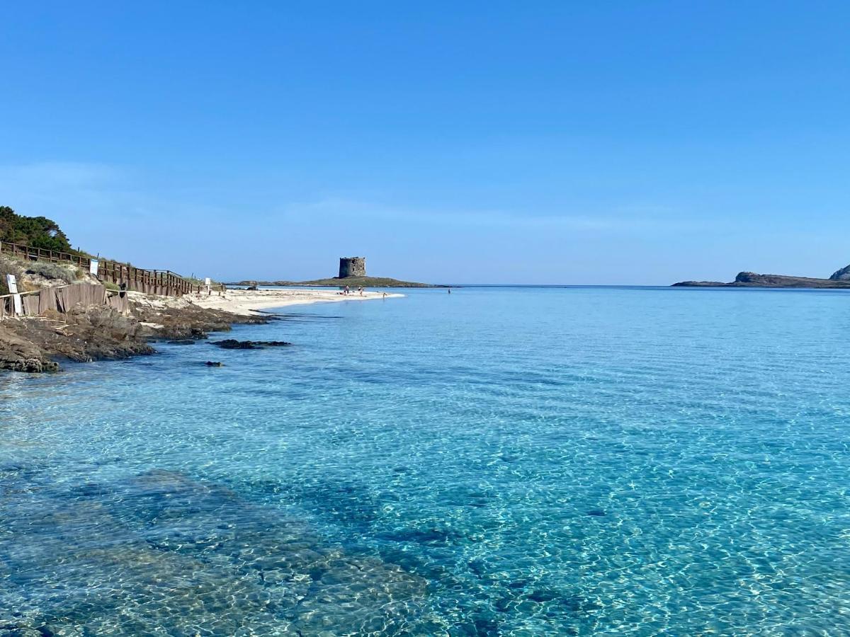 Appartamento All'ombra dei pini - Casa Vacanze Marina di Sorso Esterno foto