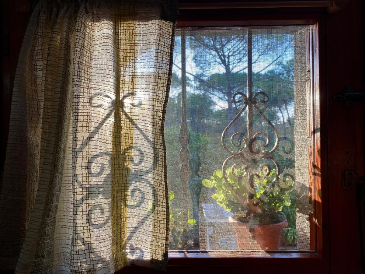 Appartamento All'ombra dei pini - Casa Vacanze Marina di Sorso Esterno foto